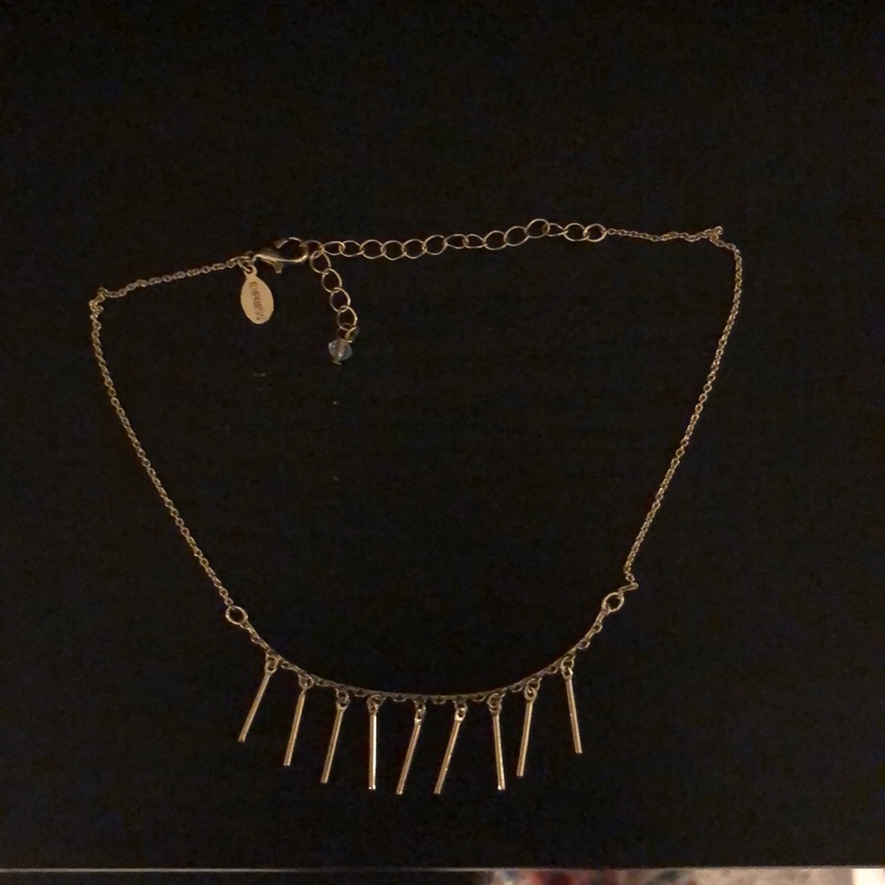 Express Choker Necklace